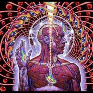 Meet your Posher, Stephan